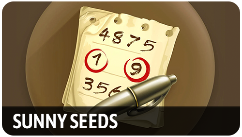 Sunny Seeds